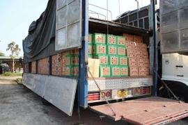 Giấu gần 900 chai rượu ngoại lậu trong thùng trái cây