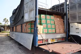 Giấu gần 900 chai rượu ngoại lậu trong thùng trái cây