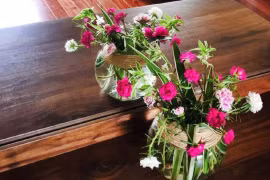 6 loài hoa chịu hạn tốt nhất đều có "khối u to" trên thân