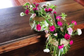 6 loài hoa chịu hạn tốt nhất đều có "khối u to" trên thân