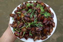 Kinh dị món đặc sản từ loài côn trùng vừa hôi vừa có thể gây mù lòa 