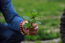 Đặc sản đất Việt: Trung Quốc bao mua, Malaysia xếp hàng chờ tới lượt