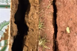 Đắk Nông di dời khẩn cấp 17 hộ dân sau tiếng nổ gây nứt bất thường