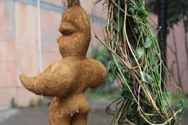 Bất lực - đàn ông nên ăn các loại thực phẩm nào để lấy lại sự nam tính?