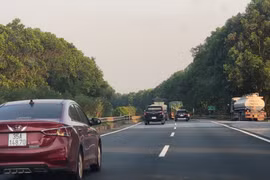 Lý do 100.000 cây xanh trên cao tốc Cầu Giẽ - Ninh Bình bị chặt