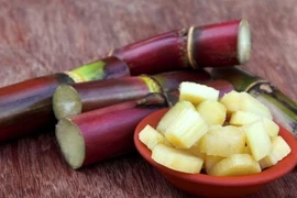 Người đàn ông suy tạng, mất trí nhớ vì ăn mía hàng ngày