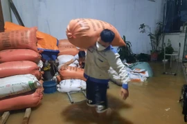 Sau Noru, Biển Đông hứng bão dồn dập cuối năm