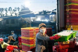 Vùng xanh bình yên, cảng cá lớn nhất TT-Huế tấp nập giữa mùa dịch