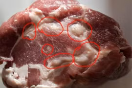 3 phần của con lợn nếu ăn càng ít sống càng thọ