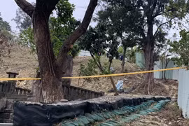 Rợn người bé sơ sinh bị bỏ lại ở nghĩa trang, nghi bị chó hoang cắn xé