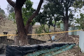 Rợn người bé sơ sinh bị bỏ lại ở nghĩa trang, nghi bị chó hoang cắn xé