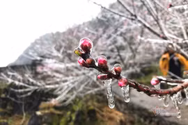 Không khí lạnh mạnh đổ bộ, miền Bắc chìm trong giá rét ngày mùng 2 Tết