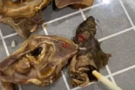 Đặt đồ ăn qua mạng, chàng trai sợ “vỡ mật” vì điều này