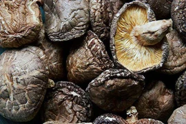 Nấm hương Nhật hơn 8 triệu đồng/kg, dân Hà Nội mua về xào rau