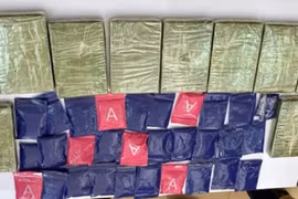 Bị bắt khi đang vận chuyển số lượng lớn ma túy trên cao tốc Nội Bài - Lào Cai