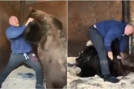 Võ sĩ đấu tay đôi với gấu nâu khổng lồ đầy kịch tính