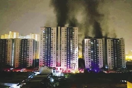 Công ty 577: Sau 1 tháng, 600 tỷ đồng vốn hóa "cháy" theo chung cư Carina Plaza