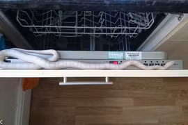 Những màn giải cứu động vật "quái", tưởng như không thể 