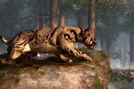 Loài mèo ăn thịt người từng khiến con người sợ khiếp vía 