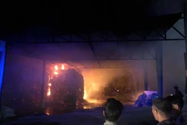 Cháy lớn ở Nhà máy tinh bột sắn tại Gia Lai, hàng chục tấn sản phẩm bị thiêu rụi