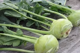 Mách bà nội trợ cách chọn rau củ an toàn mùa đông