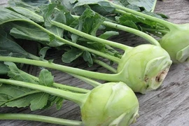 Mách bà nội trợ cách chọn rau củ an toàn mùa đông