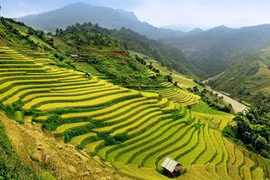 Việt Nam vào top quốc gia phải đến một lần trong đời