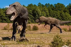 Khám phá cực khó tin nhưng có thật về khủng long (1)