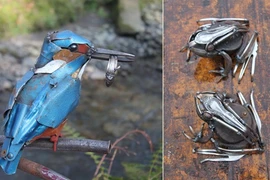 Choáng ngợp động vật hoang dã tuyệt đẹp từ phế liệu