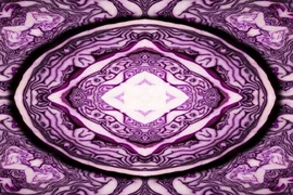 Kinh ngạc đối xứng diệu kỳ trong thế giới thực vật