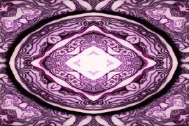 Kinh ngạc đối xứng diệu kỳ trong thế giới thực vật