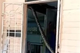 Chủ nhà mở cửa, điếng người thấy cảnh trăn khổng lồ "làm loạn" 