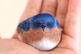 Hình ảnh độc lạ từ đá khiến bạn không tin nổi mắt mình