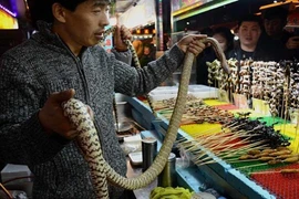 Ghê rợn rắn rết bị làm thịt sống trước mặt du khách 