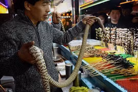 Ghê rợn rắn rết bị làm thịt sống trước mặt du khách 