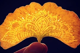 Nghệ thuật biến lá cây thành tác phẩm tạo hình cực sáng tạo