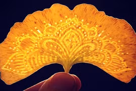 Nghệ thuật biến lá cây thành tác phẩm tạo hình cực sáng tạo