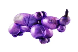 Kinh ngạc những loài động vật sinh động từ bóng bay 