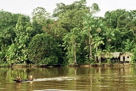 Những bí ẩn giật mình xung quanh rừng mưa Amazon