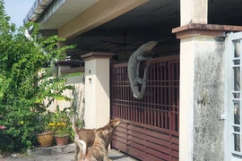 Thấy chó sủa vang nhà, chạy ra phát hiện "quái vật" hãi hùng