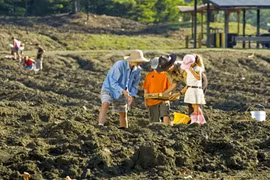 Kỳ quái công viên cho khách tự đào kim cương mang về