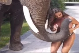 Mẫu nữ Playboy bị voi công khai “sàm sỡ“