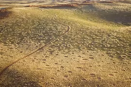 Giải mật bí ẩn vòng tròn thần tiên ở sa mạc Namibia 