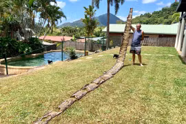 Đi đường thấy thứ lạ thu hút, anh chàng choáng váng phát hiện...