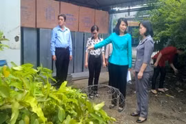 TPHCM đã có hơn 100 nhiễm virus Zika