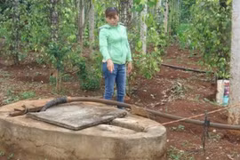 Giếng nhà bị nghi đổ thuốc sâu, nữ sinh Đắk Lắk trúng độc