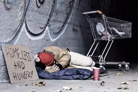 Anh chàng có lòng tốt chăm sóc mèo lang thang, nhận điều khó tin