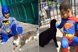 Cậu bé 5 tuổi "siêu nhiên" và hành trình làm anh hùng 