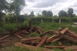 Thu phí hầm Hải Vân từ ngày 27/9