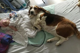 Bé 5 tháng tuổi cận kề cái chết và bất ngờ cảm động